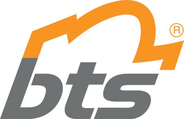 Beaver Technology Services